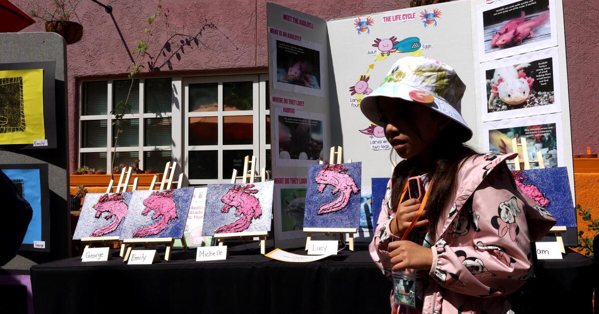 La escuela de verano para estudiantes migrantes recibe un doble golpe de Trump. Menos niños van al zoológico