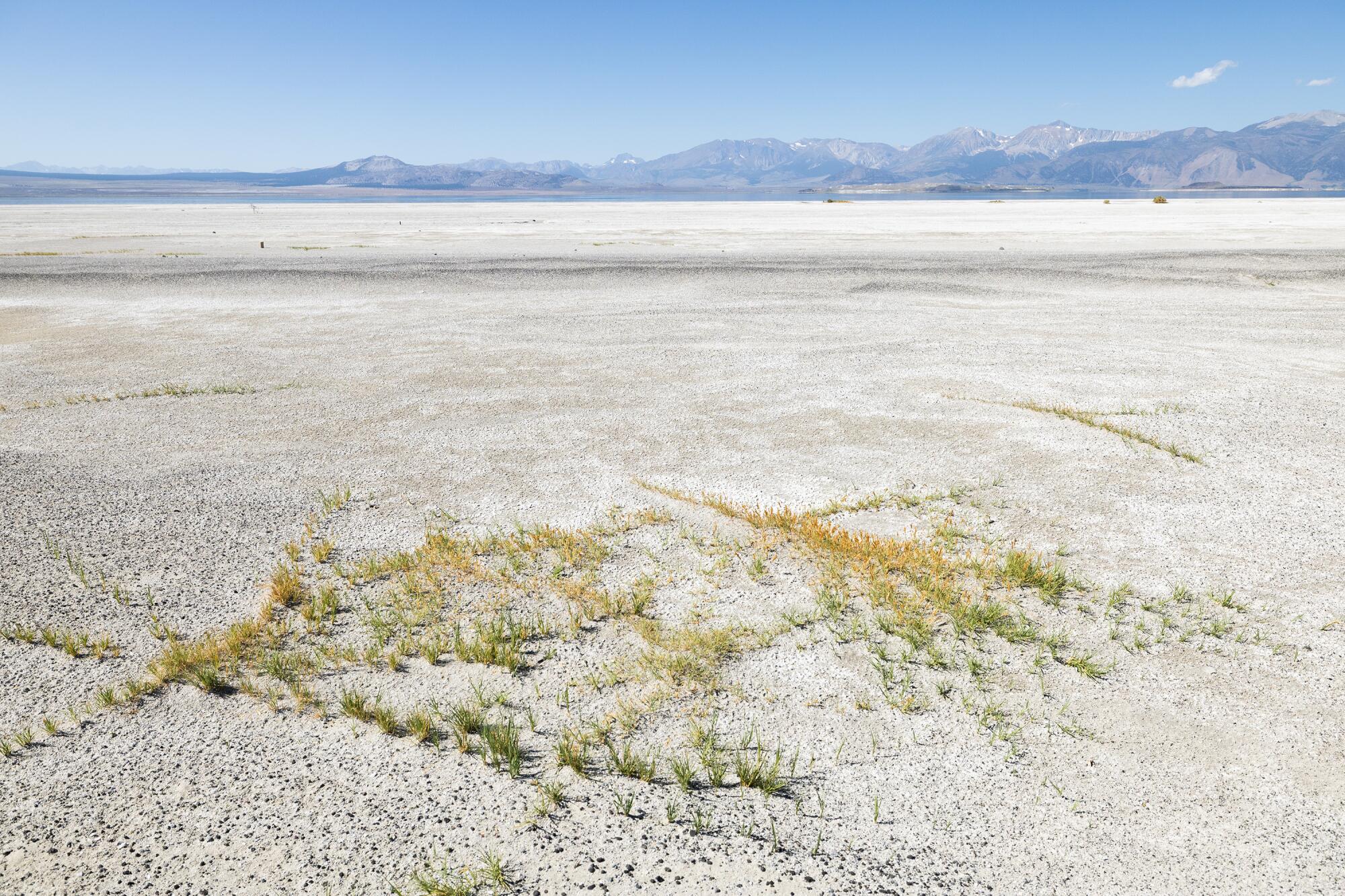 El lecho del lago con incrustaciones de sal a lo largo de la orilla del lago Mono es una fuente de polvo.