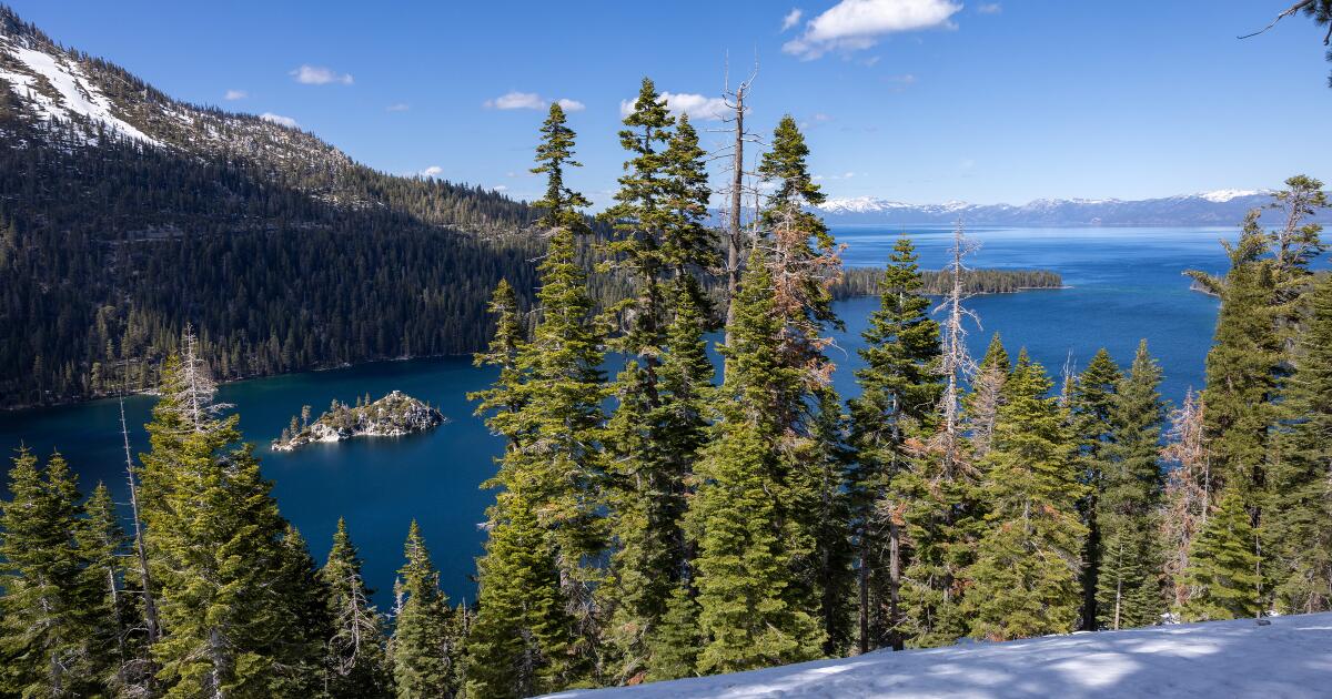 El caso de la peste de California que se cree que es causado por el lago South Tahoe Flea