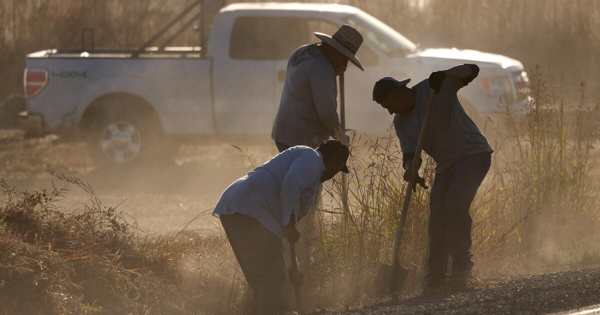 Los trabajadores agrícolas de California aún mueren por enfermedad de calor 20 años después de la ley