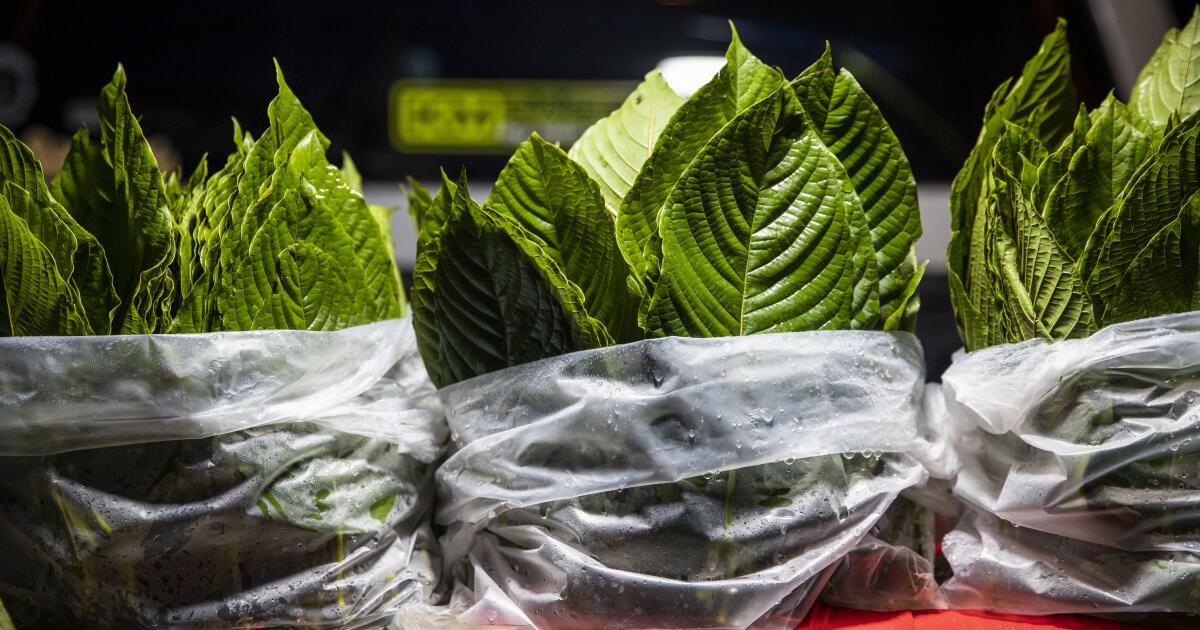 Este suplemento está siendo prohibido en los Estados Unidos qué saber sobre Kratom sintético