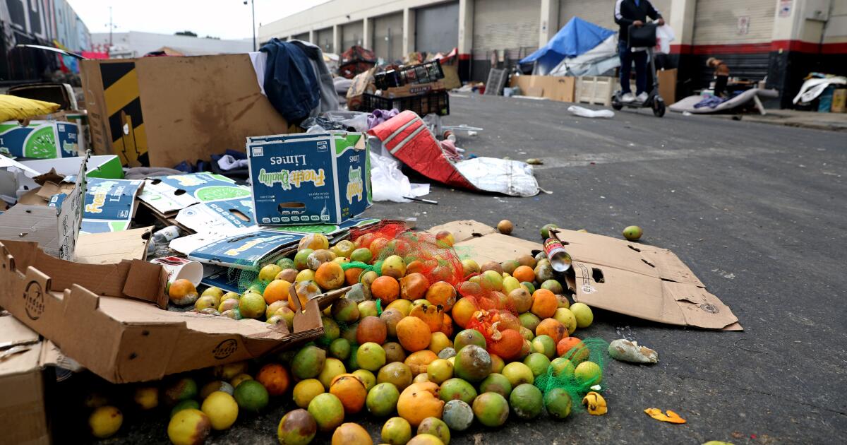 Las ratas ‘extra grandes’ florecen en La Street donde se arroja productos