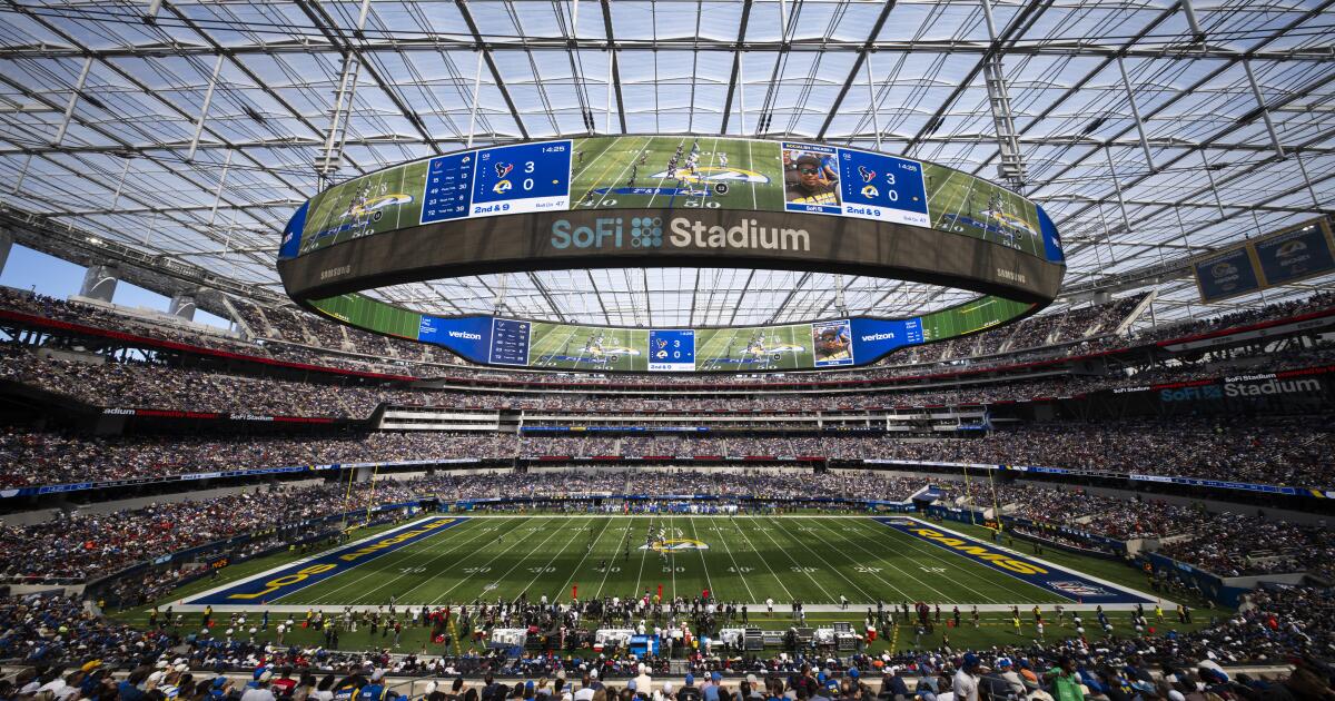 Fan de los tejanos ensangrentados en Sofi en una pelea durante el juego de Rams