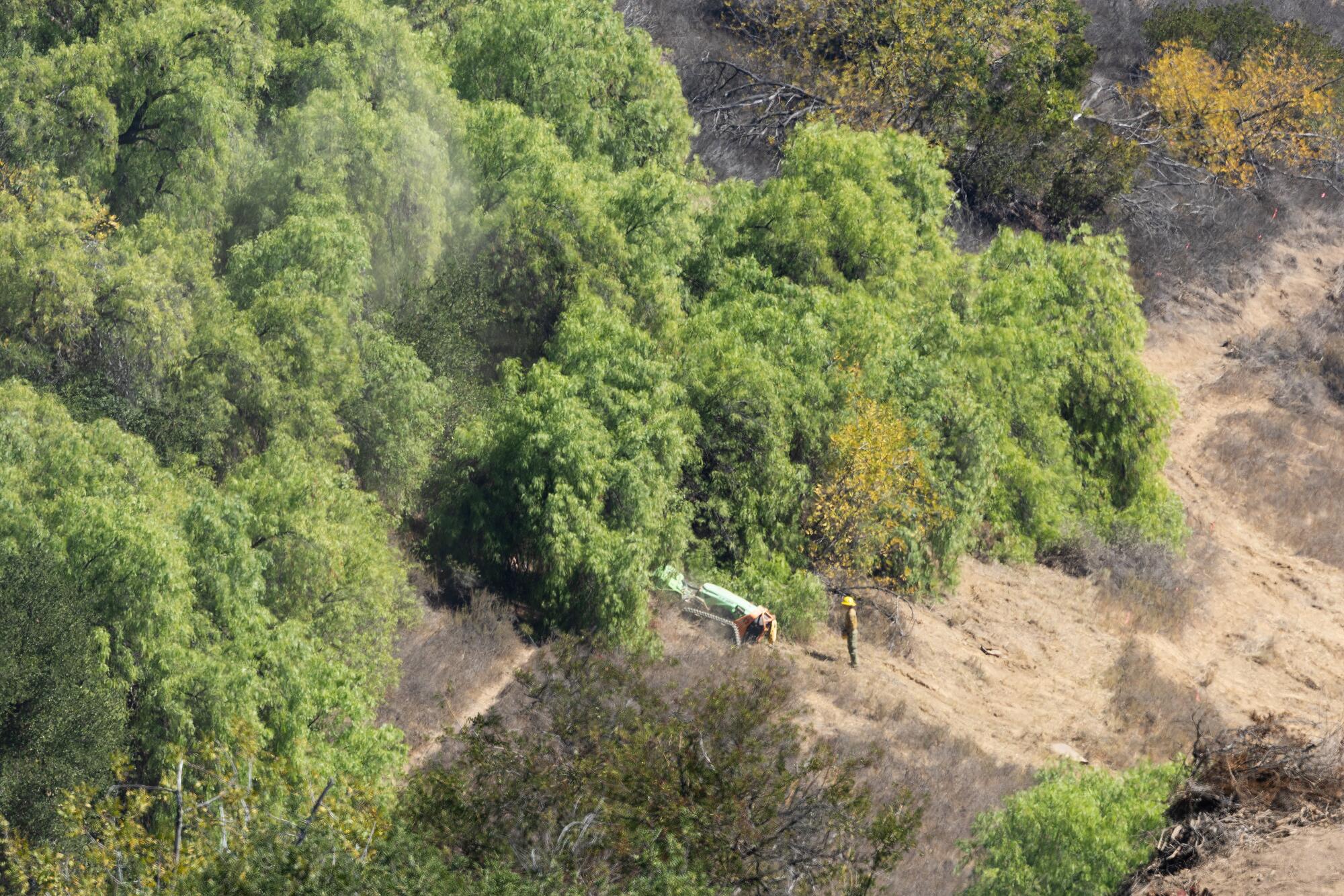 Un masticador controlado remotamente cubre vegetación inflamable en Topanga 