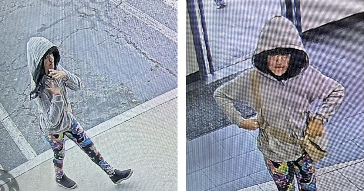 Un misterioso viaje por carretera se convierte en el foco de la búsqueda de la desaparecida Melodee Buzzard