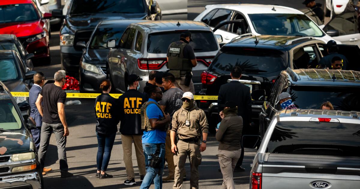 Mariscal adjunto de EE. UU. herido por agente de ICE durante operación de inmigración en el sur de California