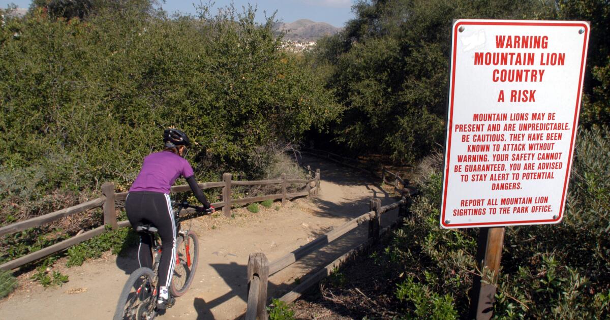 Los avistamientos de pumas provocan el cierre del parque del condado de Orange