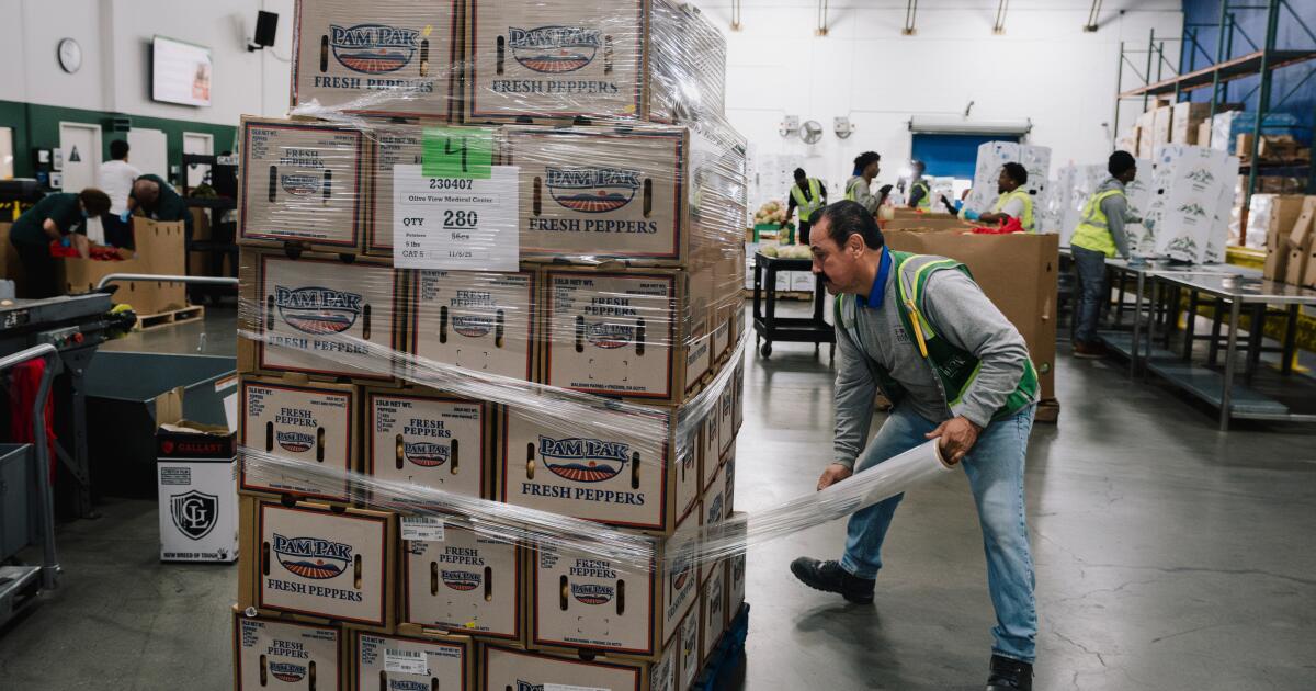 Los federales quieren saber más sobre las personas que reciben cupones de alimentos. Cómo respondió Newsom