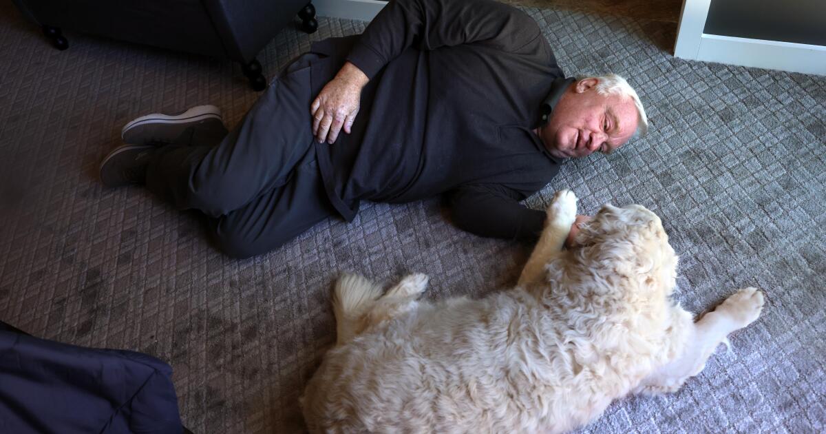 Resurgiendo de las cenizas: cómo los sobrevivientes del incendio se reconstruyeron a tiempo para llegar a casa para el Día de Acción de Gracias