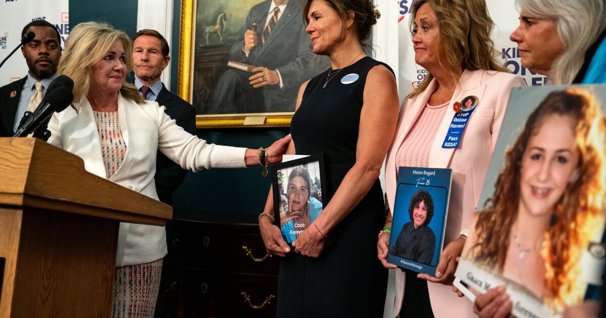 Los defensores de la seguridad infantil en línea instan a California a aumentar las protecciones